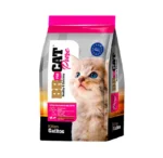 Br For Cat Gatito Pollo