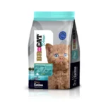 Br For Cat Gatito Salmon